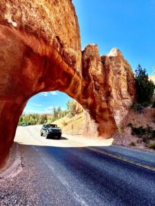 Půjčení auta v zahraničí