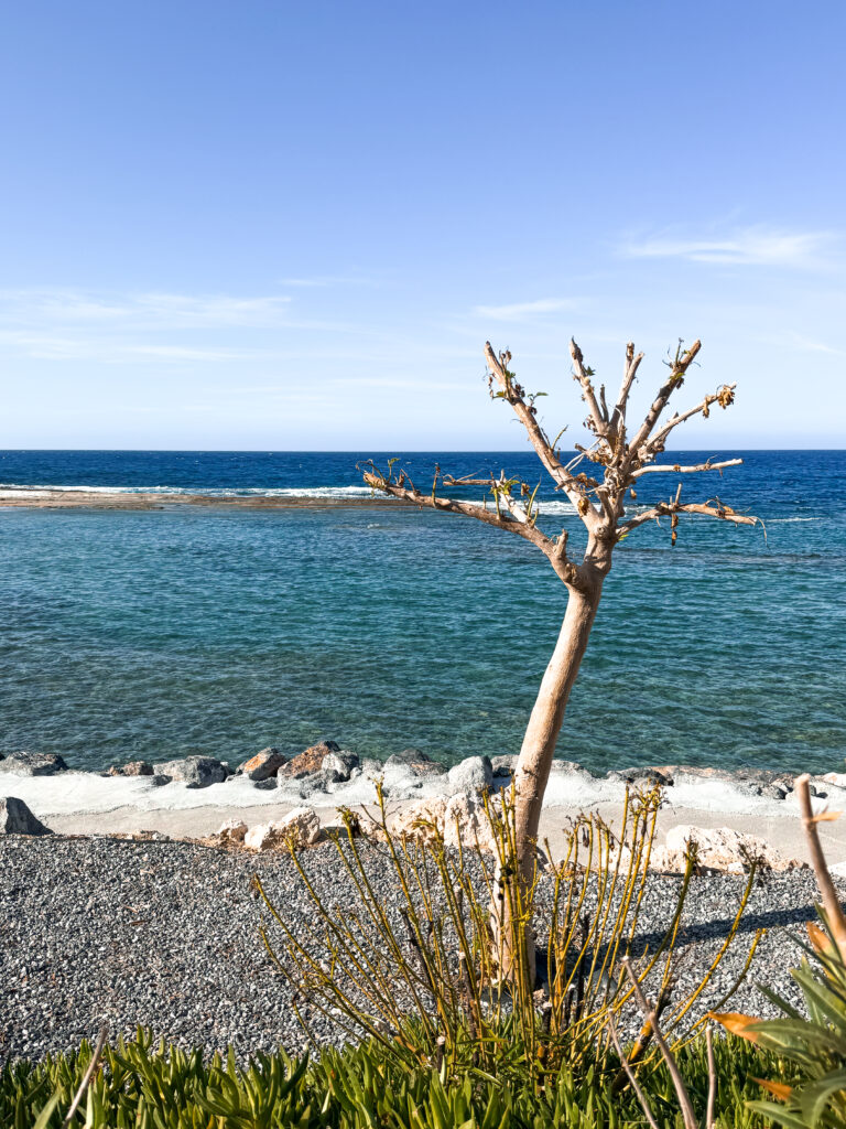 výhled na moře a pláž na severním kypru