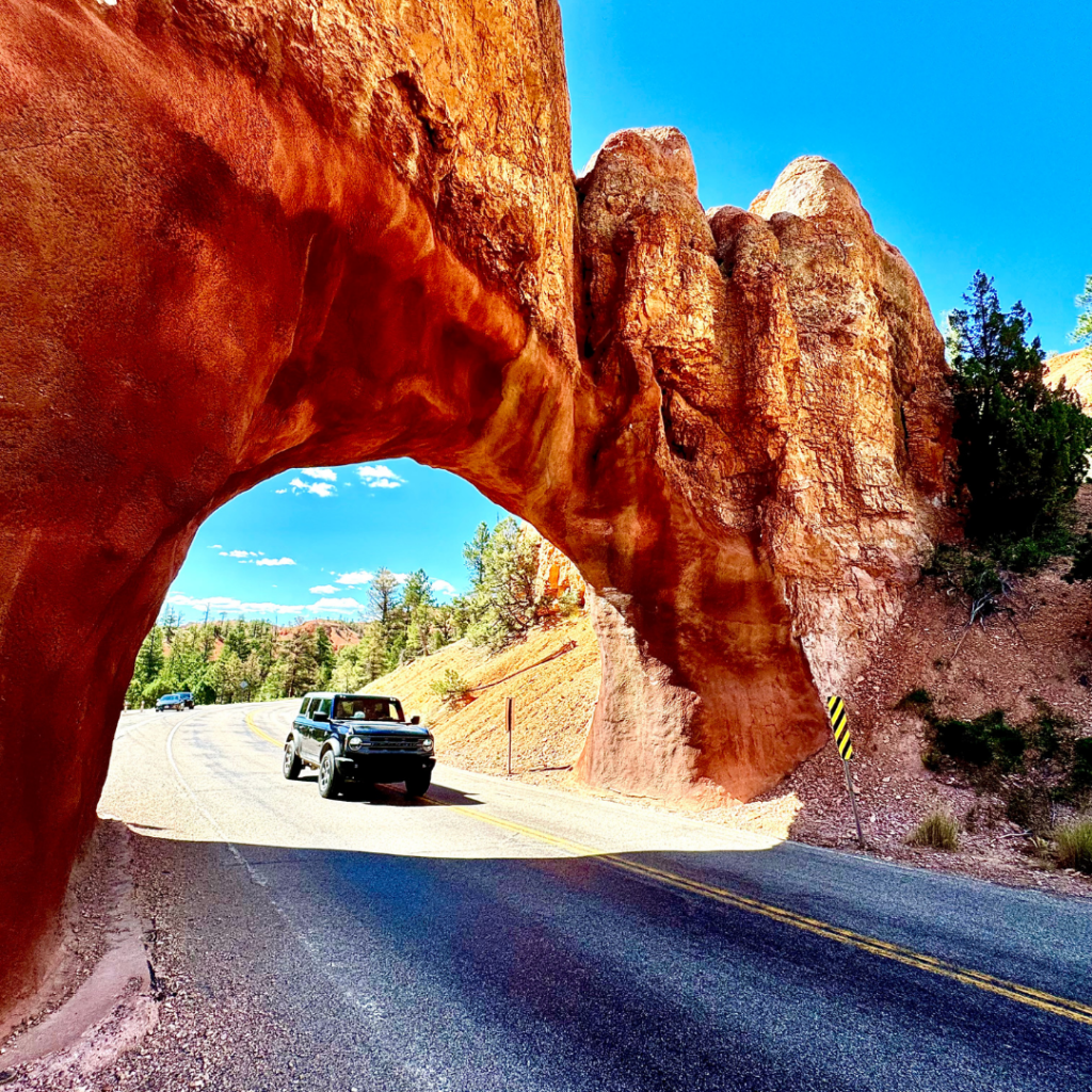 Půjčení auta v zahraničí